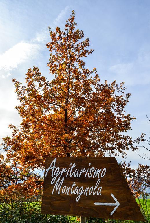 Casalanguida Agriturismo Montagnola Abruzzoヴィラ エクステリア 写真