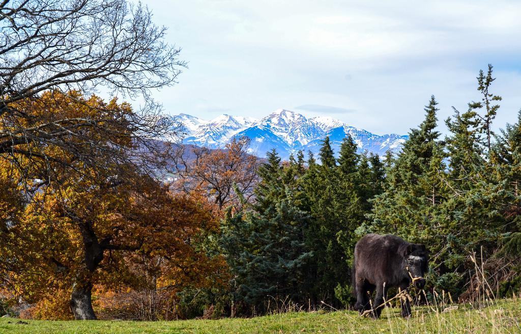 Casalanguida Agriturismo Montagnola Abruzzoヴィラ エクステリア 写真